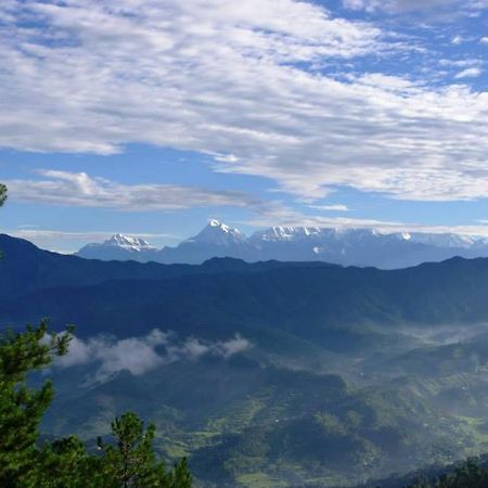 Cosmos Himalayan Villas Ranikhet Exterior photo