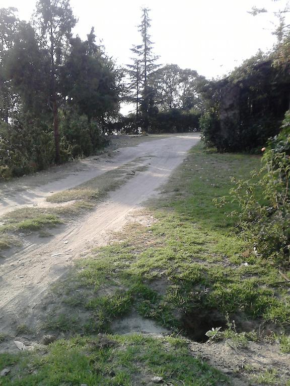 Cosmos Himalayan Villas Ranikhet Exterior photo