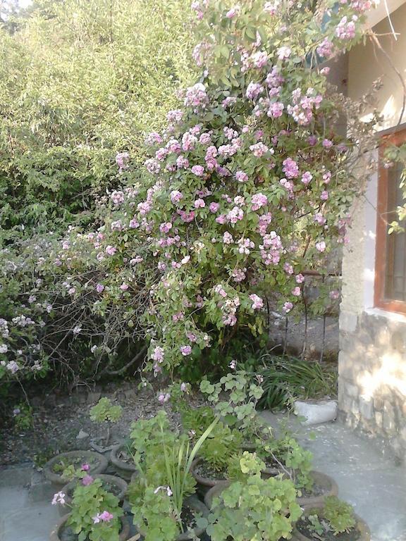 Cosmos Himalayan Villas Ranikhet Exterior photo